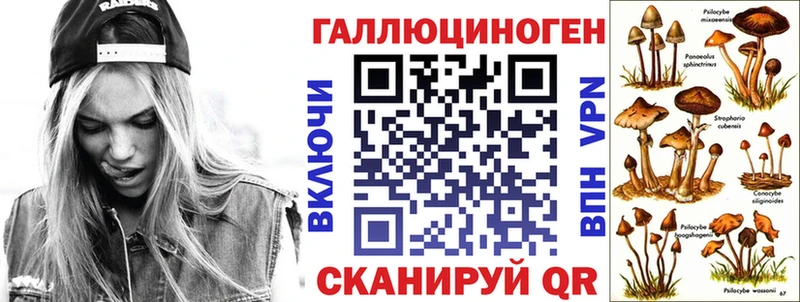 Купить закладки  Можайск  Псилоцибиновые грибы мицелий 